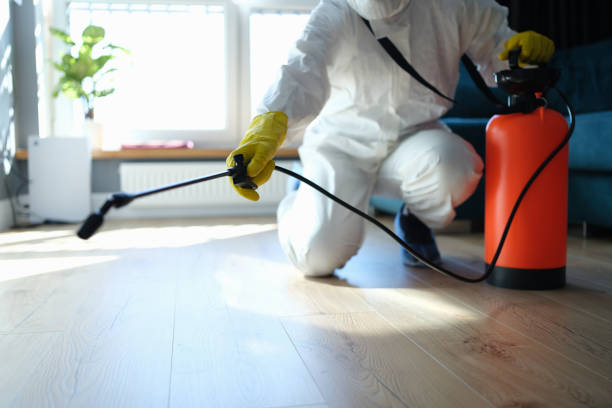 Reliable Blood Cleanup contractor in Johannesburg, CA by Trauma Clean Pros